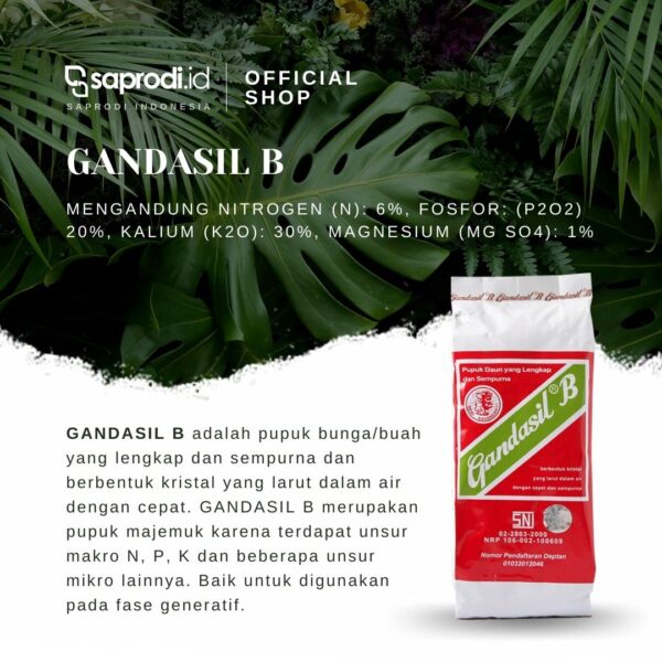 Pupuk Daun Gandasil 100 gram 4