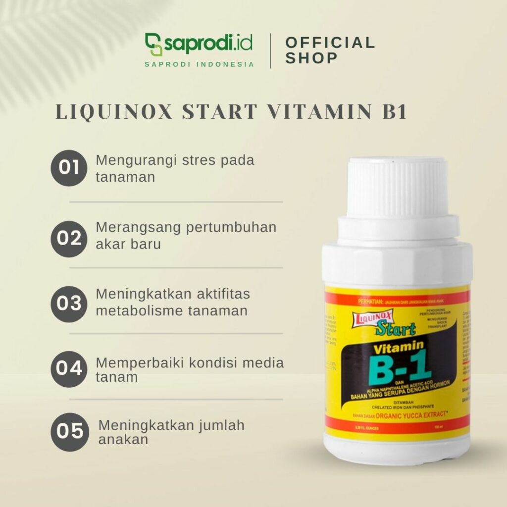 Liquinox - START VITAMIN B1 Pupuk Perangsang Hormon Pertumbuhan - 100 ...