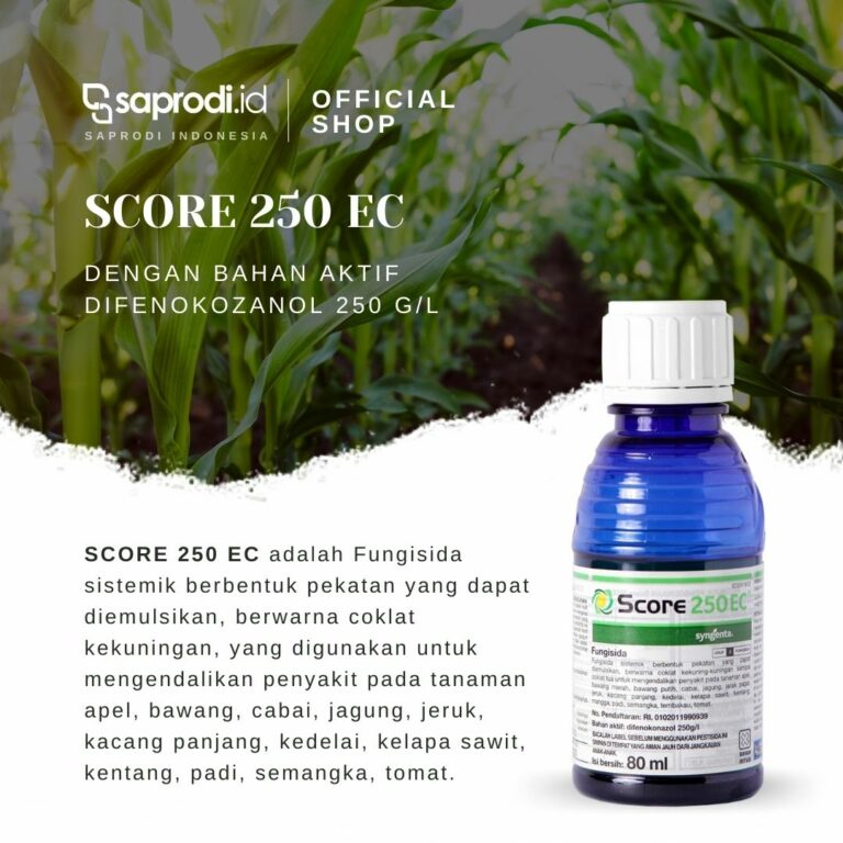 Syngenta Score Ec Fungisida Sistemik Zpt Ml Saprodi Indonesia