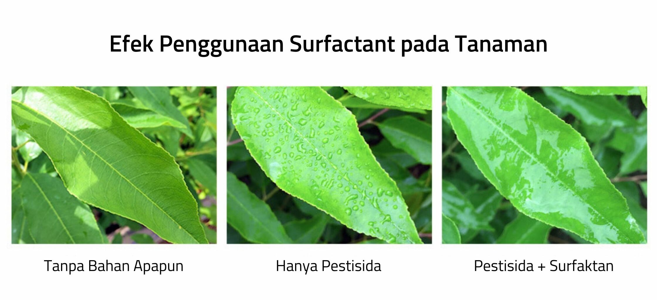 Efek Penggunaan surfactant